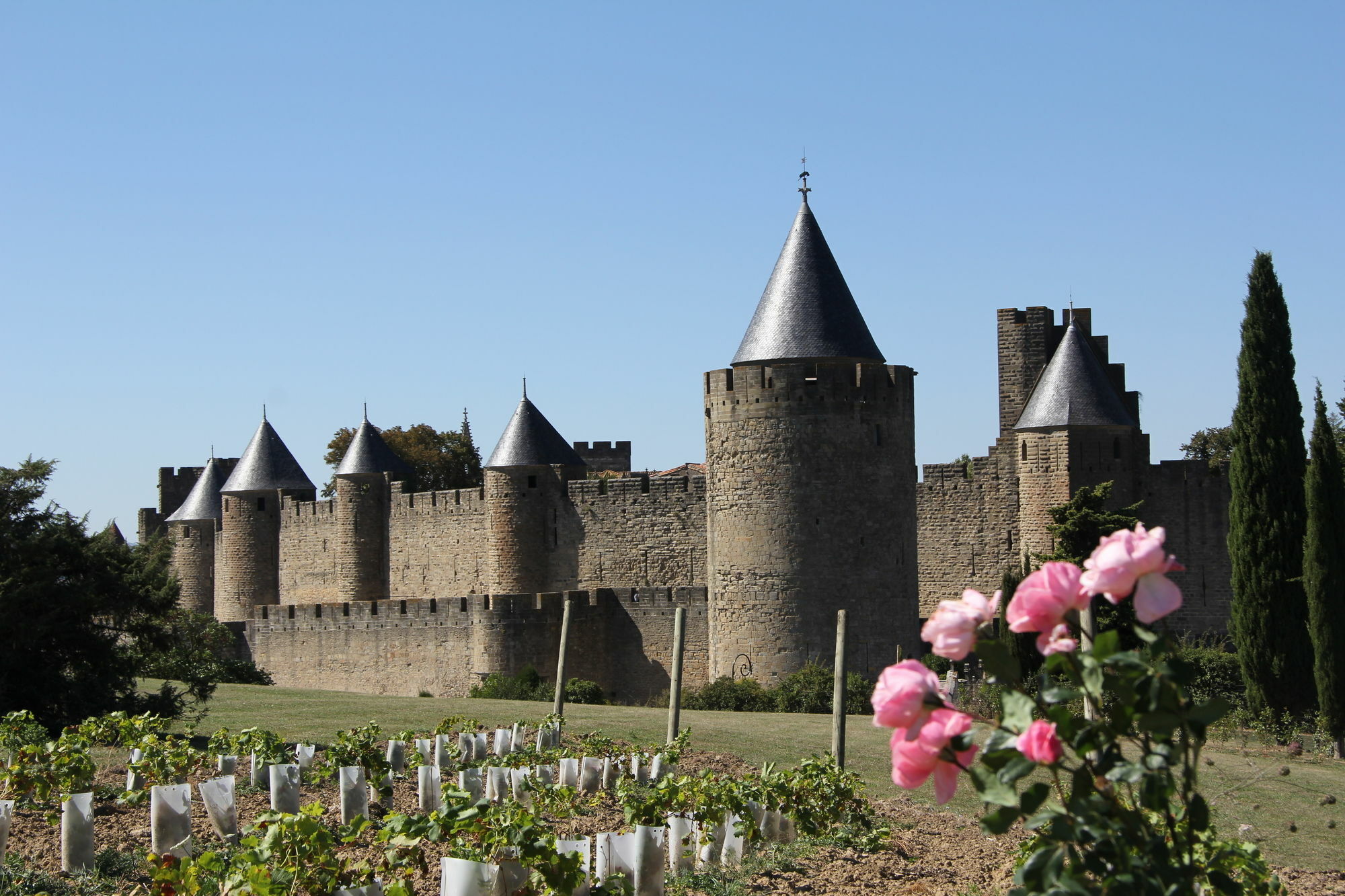 Pont Levis - Franck Putelat Carcassonne